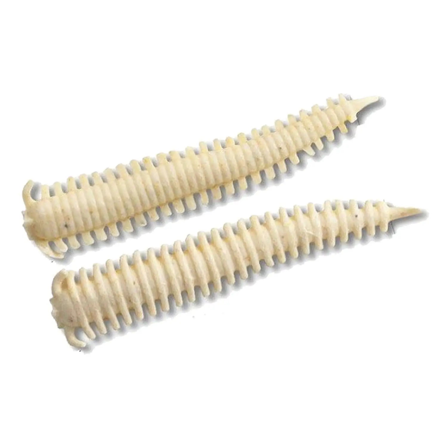 Berkley Gulp Alive Sandworm 5cm 24 Adet Silikon Kurt - White