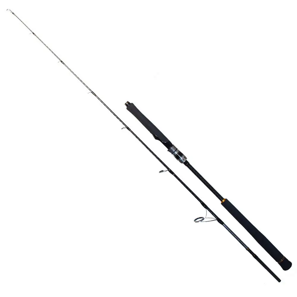 Ryuji Seawolf 1.98m 30-150gr 2P Jig Olta Kamışı